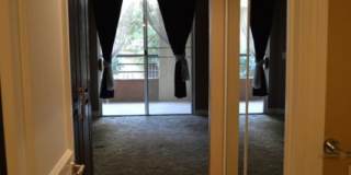 Meridian - Unfurnished 1 Bed|1 Bath Luxury Condo with Main Pool View. Meridian - Unfurnished 1 Bed|1 Bath Luxury Condo with Main Pool View. Gallery 19