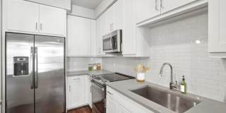 Avalon Lowry Gallery 2