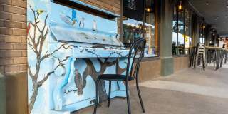 Mihir Taylor Gallery 32