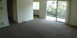 3401R 3401R Gallery 1