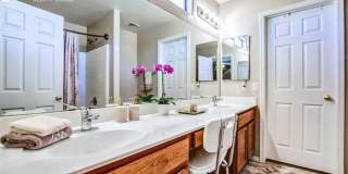 24347 North Oasis Boulevard Gallery 18