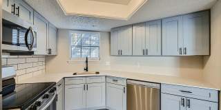 Rise Spring Pointe Gallery 70