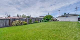 Rare 2 Bed 1 Bath Home with Huge Private Backyard Gallery 23