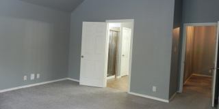6739 TERRA RYE Gallery 13