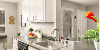 Tesoro on Spain Gallery 5