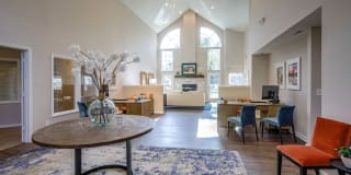 Palmetto Grove Palmetto Grove Gallery 3