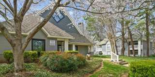 Cameron South Park Gallery 20