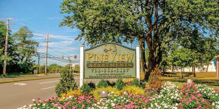 Pineview Gallery 1