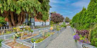 Lock Vista Gallery 19