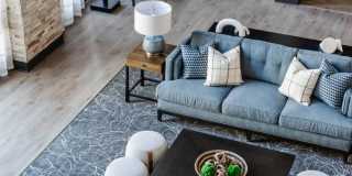 The Cardinal Gallery 35