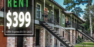 Spring Pine Gallery 43