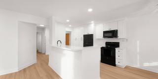 220-248 S. Rush Street Gallery 5