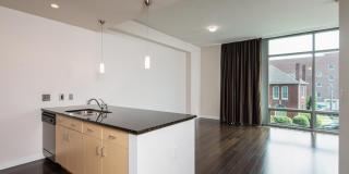 Beautiful Studio Condo In The Adelicia Gallery 1