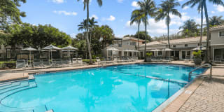 Coconut Palm Club Gallery 8