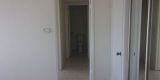 411 Gallery 21
