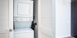 Central Park Gallery 13