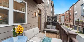 3533 BELLFLOWER LN Gallery 20