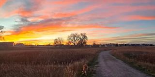 3BR/2.5BA Englewood House, Cherry Creek Schools & Park Access Gallery 37