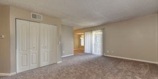 Chardonnay Ridge Gallery 37