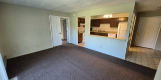 8137 Pine Island Terrace Gallery 1