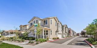 Woodland home Gallery 44