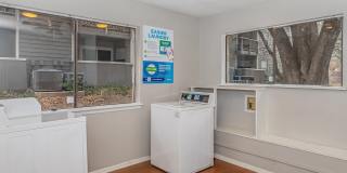 Songbird Apartments Gallery 25