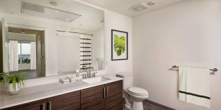 Ovelo Hollywood Gallery 11