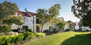 Laurel Creek Gallery 4