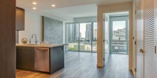 The Merian Gallery 37