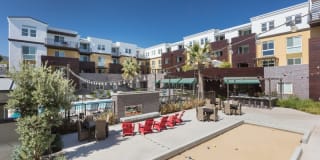 Bell Mt. Tam Gallery 16