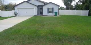Spacious Deltona Home with a Large Fenced-in Backyard! Gallery 1