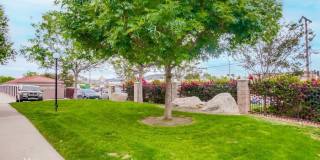 9813 Caspi Gardens Drive Gallery 24
