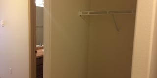 21 Orange Gallery 50