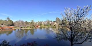Beautiful Lakefront Home in the Vineyard! 55+ community Gallery 66