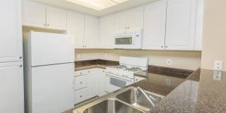 Laurel Terrace Apartment Homes Gallery 33
