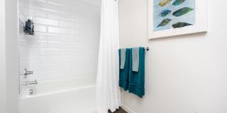 Eastline Central Gallery 10