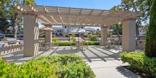 Point Bonita Gallery 10