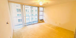 Diamond in the rough 1 bedroom with den in Honolulu! Gallery 5