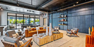 Aster & Links Gallery 90