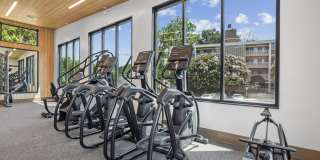 Halpine View Gallery 24