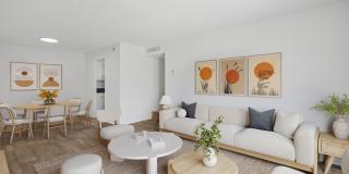 Costa Del Lago Gallery 6
