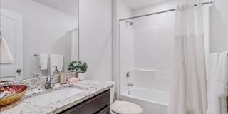 7938 Fort Griffen - 4/bedroom 3/bathroom - $2895/month Gallery 42