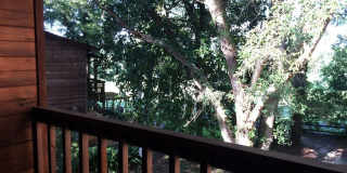 Remodeled!! Close to Shopping, VA Hospital and Hilaman Golf Course! Gallery 33
