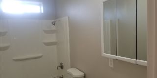 2504 Flower Gallery 6