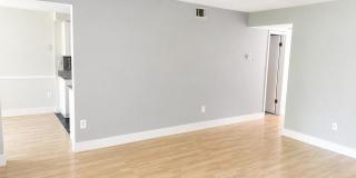 20208 SHIPLEY TER #302 Gallery 2