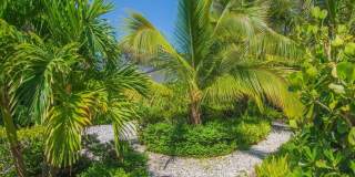 3902 Sabal Palm Drive Gallery 27