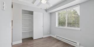 Avana Chestnut Hill Gallery 16