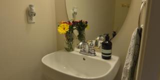2039 GALLOWS TREE Court Gallery 17