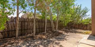 Single Level 3 Bedroom 2.5 Bath home in Desirable neighborhood Available Now! Gallery 33