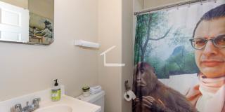 Brighton 3 Bedroom Available 9/1 Gallery 6